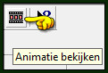 Animatie bekijken