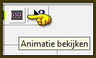 Kijk even hoe de animatie loopt door op dit icoontje te klikken
