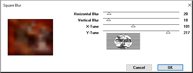 Effecten - Insteekfilters - VM Toolbox - Square Blur