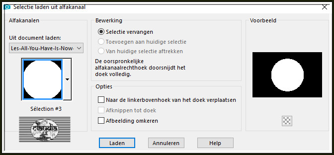 Selecties - Selectie laden/opslaan - Selectie laden uit alfkanaal : Selection #3 of Selection-allyouhave2