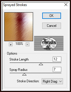 Effecten - Insteekfilters - Brush Strokes - Sprayed Strokes