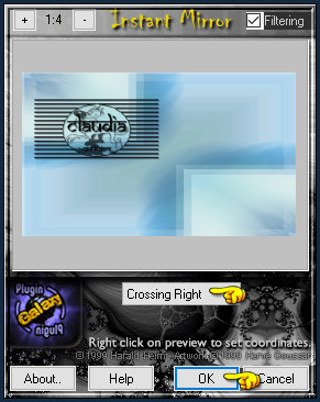 Effecten - Insteekfilters - Plugin Galaxy - Instant Mirror