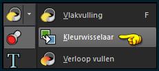 Activeer het Gereedschap "Kleurwisselaar" :