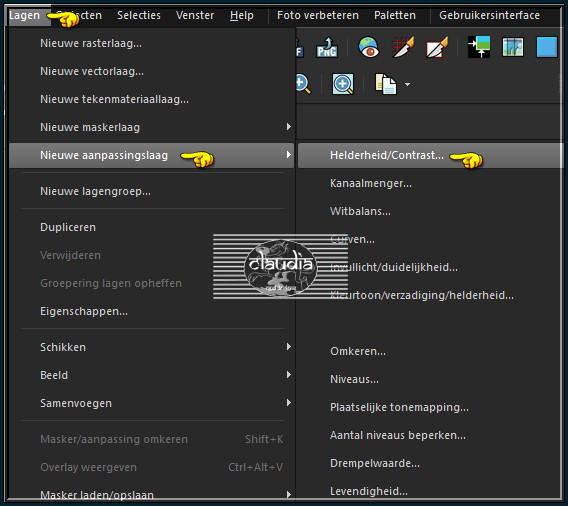 Lagen - Nieuwe aanpassingslaag - Helderheid/Contrast :