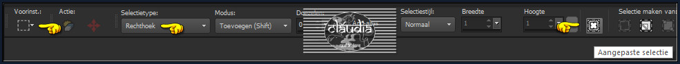 Activeer het Selectiegereedschap (toets S op het toetsenbord) - Aangepaste selectie