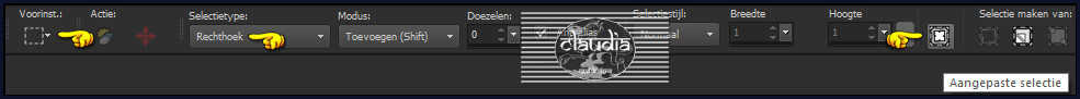 Activeer het Selectiegereedschap (toets S op het toetsenbord) - Aangepaste selectie
