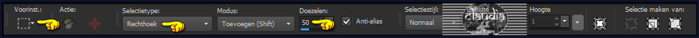 Activeer het "Selectiegereedschap" (= Toets S) - Rechthoek met deze instellingen