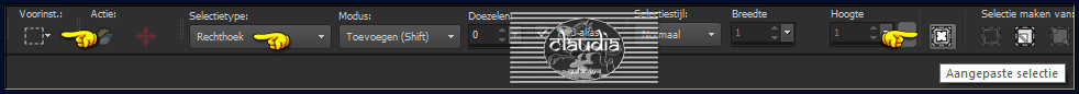 Activeer het Selectiegereedschap (toets S op het toetsenbord) - Aangepaste selectie