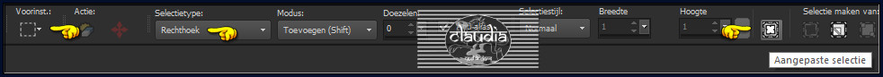 Activeer het Selectiegereedschap (toets S op het toetsenbord) - Aangepaste selectie 