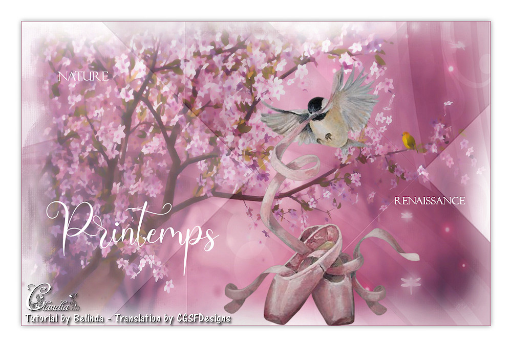 Les : Printemps van Belinda