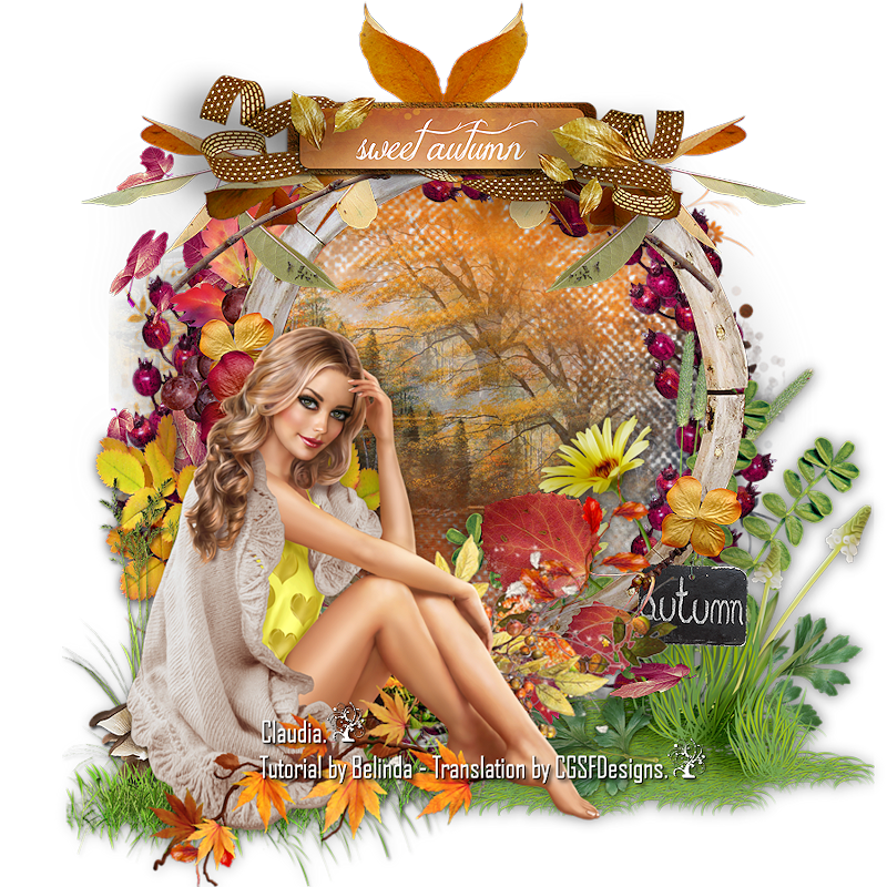 Les : Sweet Autumn van Belinda