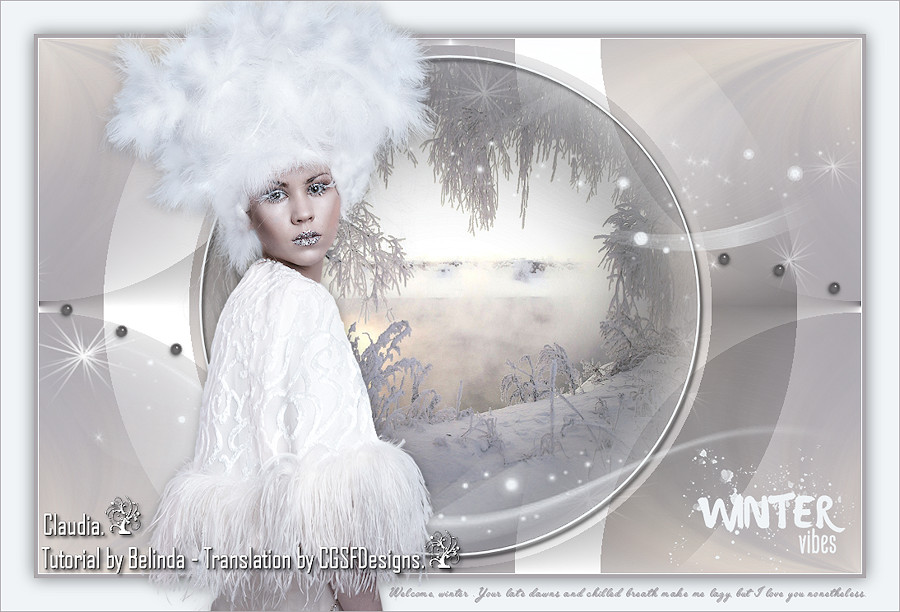 Les : Winter Vibes van Belinda