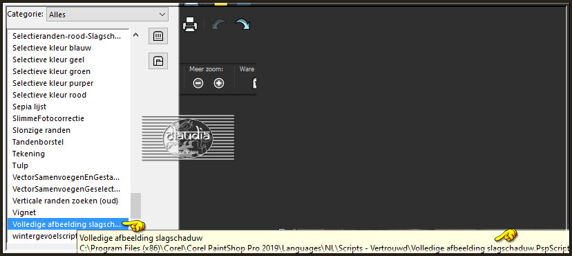 Activeer het "Scriptgereedschap" en zoek de preset "Volledige afbeelding slagschaduw"