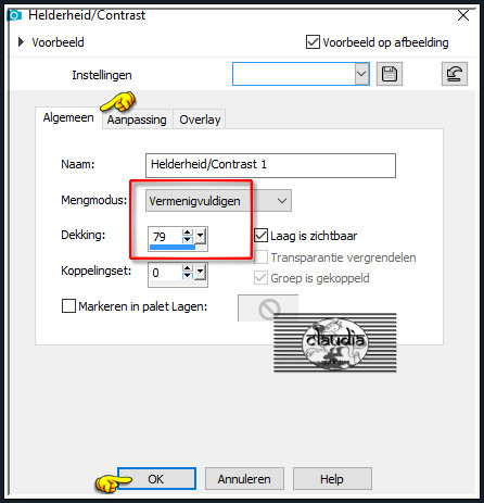 Lagen - Nieuwe aanpassingslaag - Helderheid/Contrast