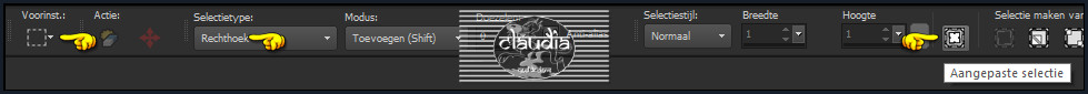 Activeer het Selectiegereedschap (toets S op het toetsenbord) - Aangepaste selectie