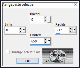 Activeer het Selectiegereedschap (toets S op het toetsenbord) - Aangepaste selectie en voer deze getallen in