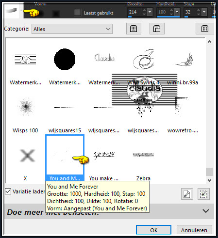 Activeer het "Penseelgereedschap" en zoek de Brushe "You and Me Forever" met deze instellingen 