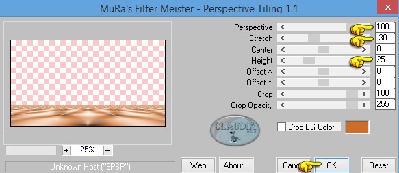 Instellingen filter MuRa's Meister - Perspective Tiling
