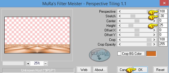 Instellingen filter MuRa's Meister - Perspective Tiling