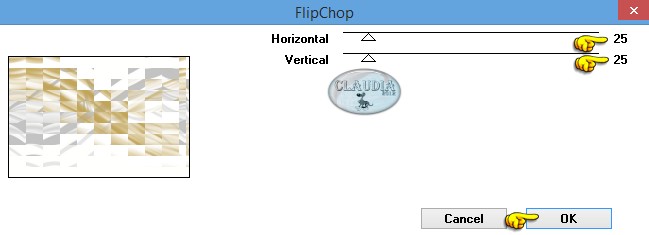 Instellingen filter VM Distortion - FlipChop