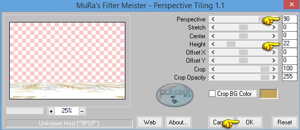 Instellingen filter MuRa's Meister - Perspective Tiling 