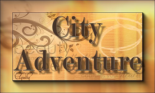 Titel Les : City Adventure van Brigitte