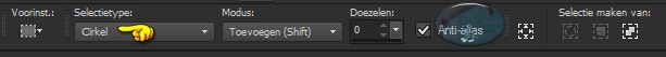 Instellingen Selectiegereedschap (S) - Cirkel 