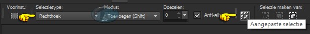 Selectiegereedschap - Aangepaste selectie