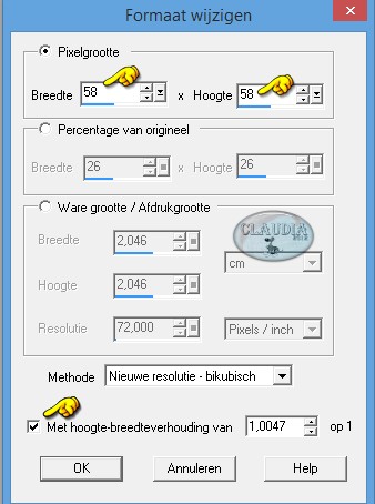 Instellingen wijzigen van het formaat