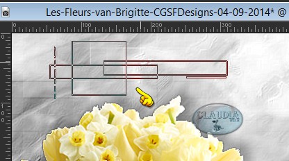 Stempelen van de brushe