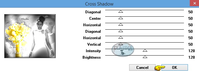 Instellingen filter Graphics Plus - Cross Shadow