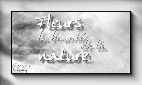 Titel Les : Fleur van Brigitte