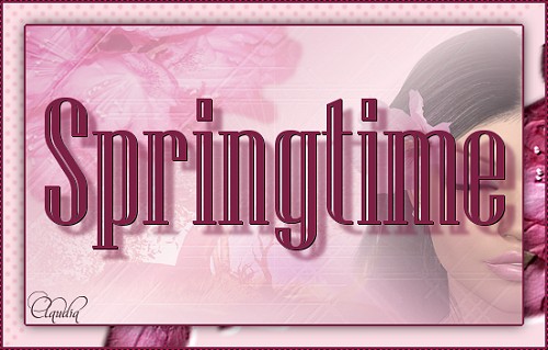 Titel Les : Springtime van Brigitte