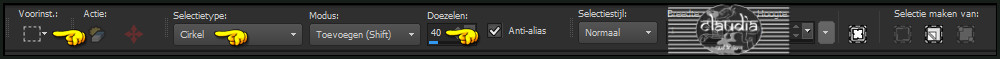 Activeer het "Selectiegereedschap" - Cirkel met deze instellingen 