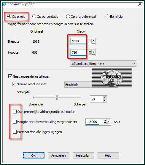 Afbeelding - Formaat wijzigen :