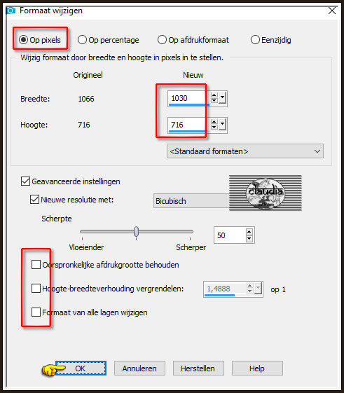 Afbeelding - Formaat wijzigen :