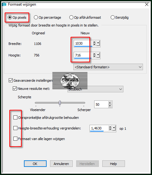 Afbeelding - Formaat wijzigen :