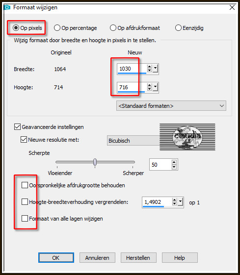 Afbeelding - Formaat wijzigen :