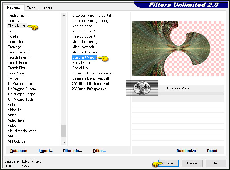 Effecten - Insteekfilters - <I.C.NET Software> - Filters Unlimited 2.0 - Tile & Mirror - Quadrant Mirror