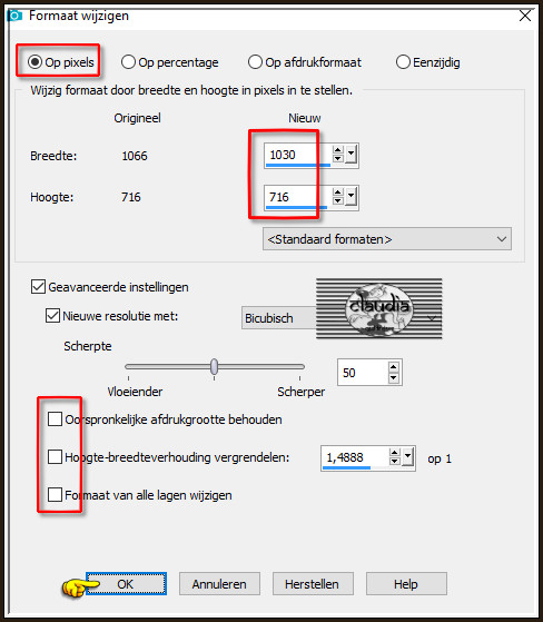 Afbeelding - Formaat wijzigen :