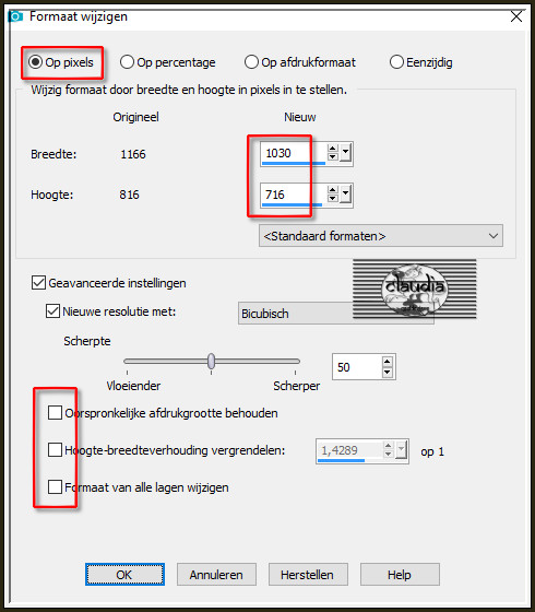 Afbeelding - Formaat wijzigen :