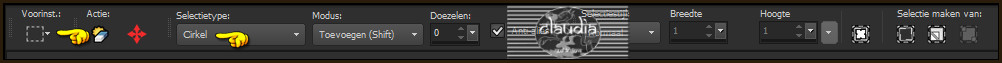 Activeer het Selectiegereedschap (toets S op het toetsenbord) - Cirkel :