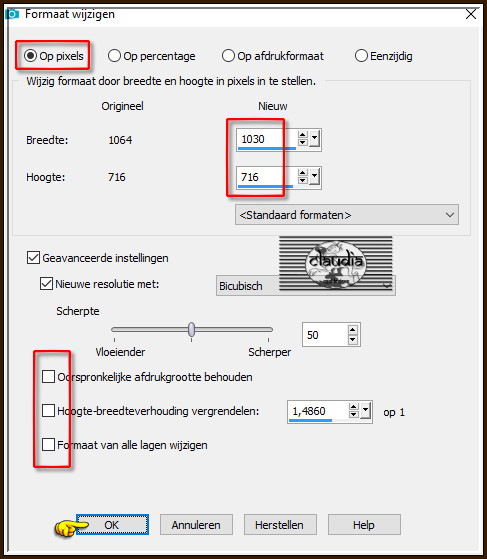 Afbeelding - Formaat wijzigen :