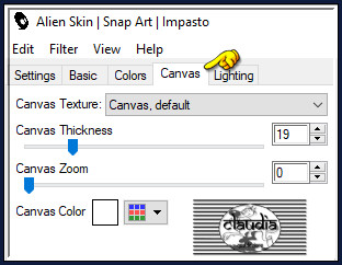 Effecten - Insteekfilters - Alien Skin Snap Art - Impasto