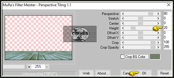 Effecten - Insteekfilters - MuRa's Meister - Perspective Tiling 