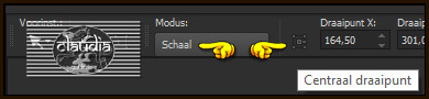 Zet nu de instellingen van het raster zoals op het printscreen en klik 1 x op de knop Centraal draaipunt