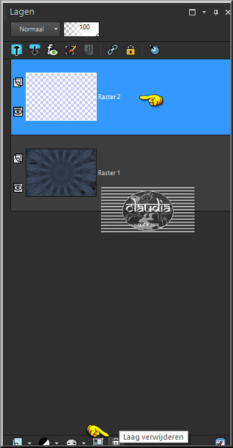 Verwijder de laag "Raster 2" (= de bovenste laag)