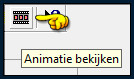 Animatie bekijken