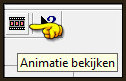 Bekijk je animatie door op dit icoontje te klikken
