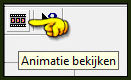 Controleer of de animatie naar wens is door op dit icoontje te klikken